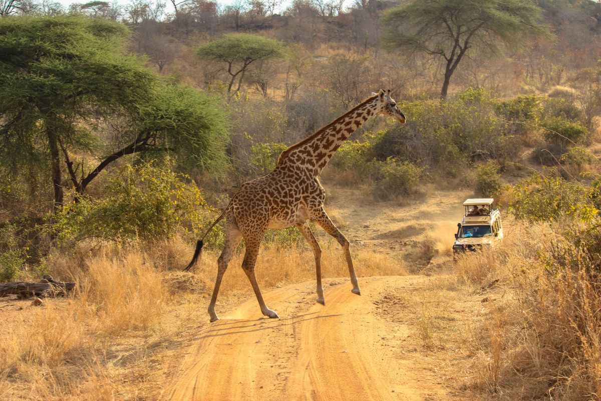 Was steckt hinter dem Baobab-Siegel? Nachhaltiger Tourismus in Afrika erklärt